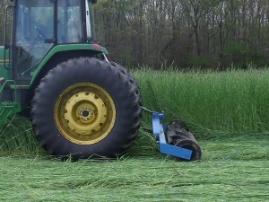 Roller Crimper on Rye Grass