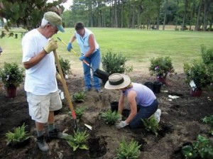 rain garden planting 1