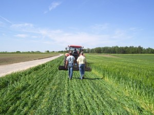roler crimper fieldscape