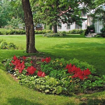 rain garden